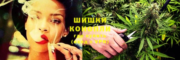 индика Нефтегорск