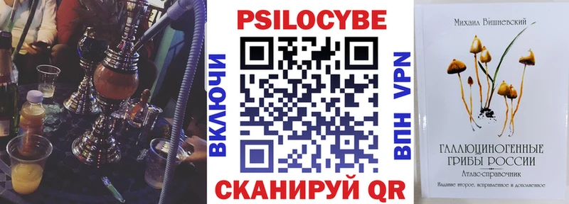Псилоцибиновые грибы ЛСД  купить закладку  гидра tor  Рассказово 