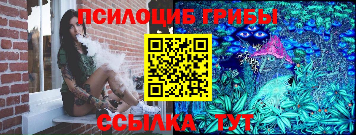 Рассказово  Галлюциногенные грибы Psilocybine cubensis  Вход с VPN 