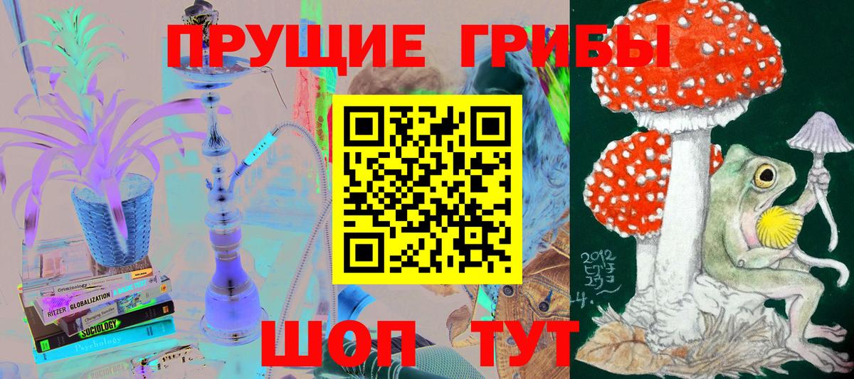 Псилоцибиновые грибы Psilocybine cubensis Рассказово