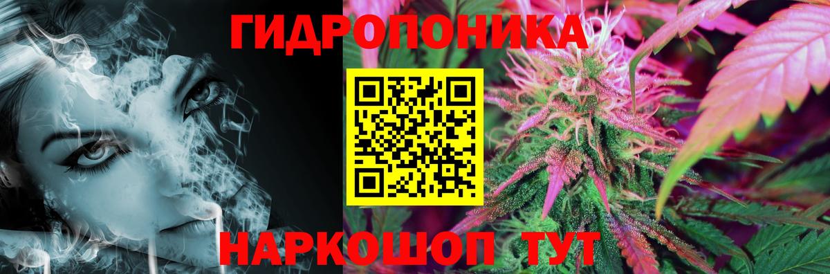 Шишки марихуана конопля Рассказово